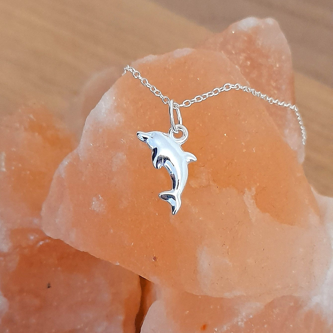 Dolphin Necklace | Sterling Silver 925 | Ocean-Inspired Jewellery Gift