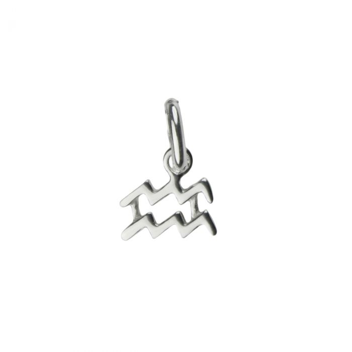 Aquarius Zodiac Necklace with Birthstone in Sterling Silver 925, Personalised Jewellery Gift