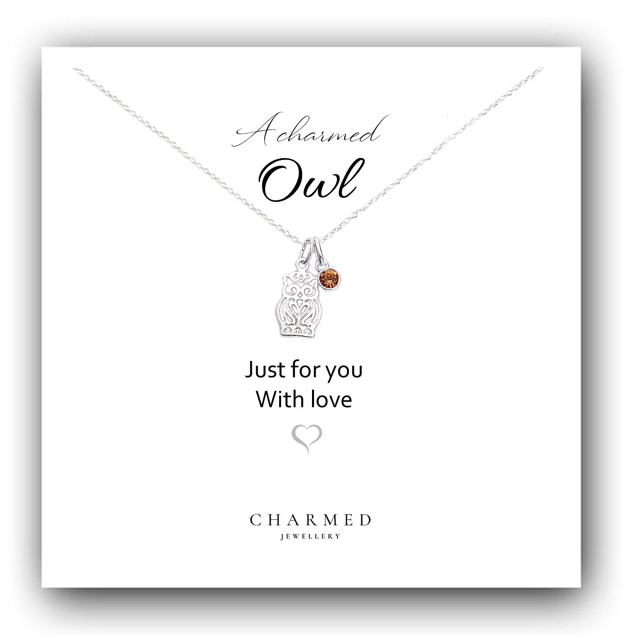 A Charmed Owl Birthstone Necklace in Sterling Silver 925 | Personalised Jewellery Gift