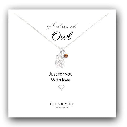 A Charmed Owl Birthstone Necklace in Sterling Silver 925 | Personalised Jewellery Gift