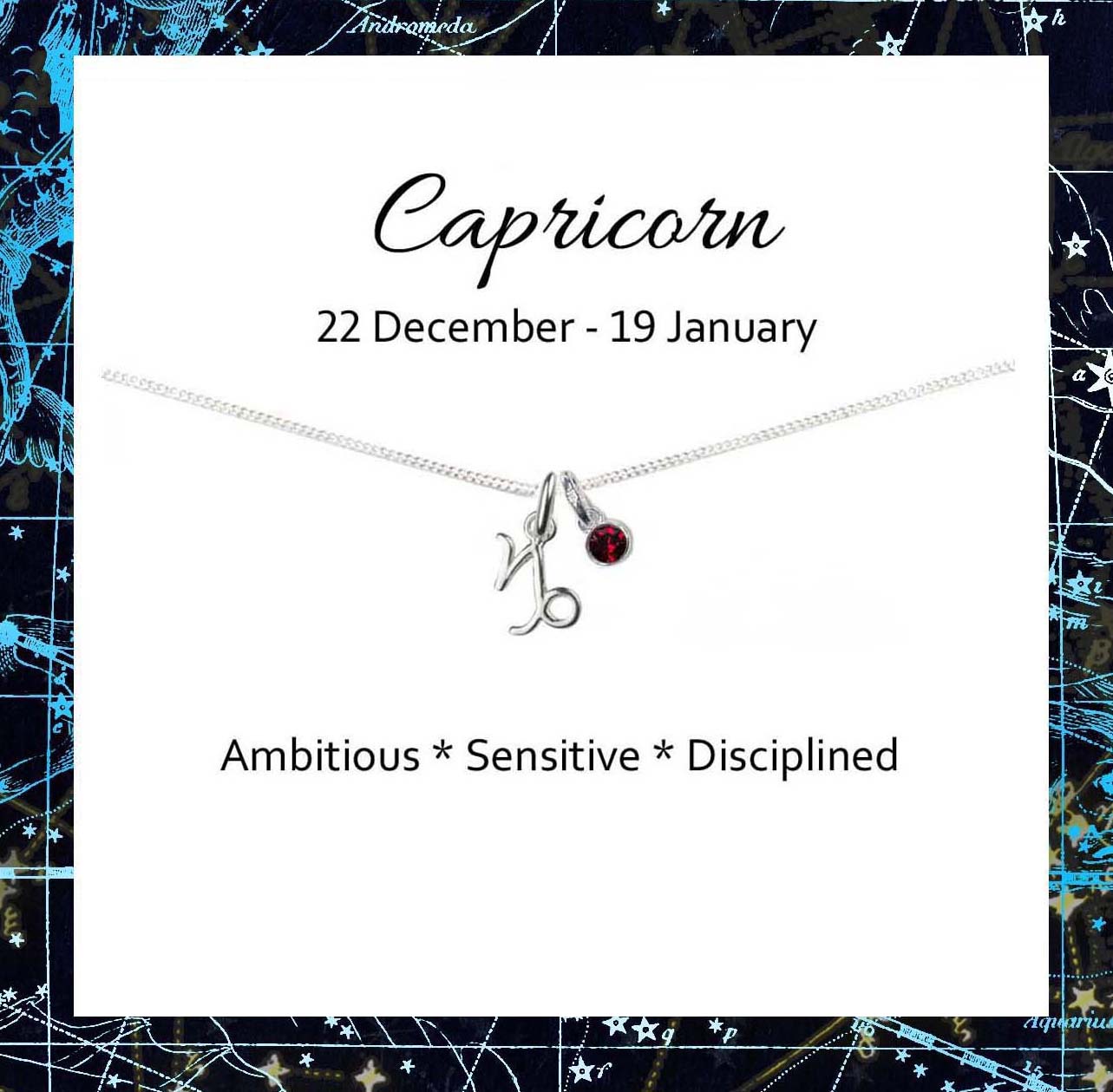 Capricorn Zodiac Necklace with Birthstone in Sterling Silver 925, Personalised Jewellery Gift