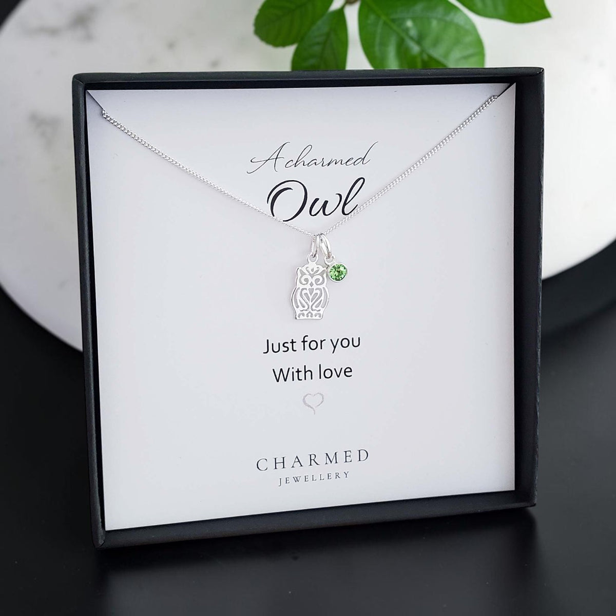 A Charmed Owl Birthstone Necklace in Sterling Silver 925 | Personalised Jewellery Gift
