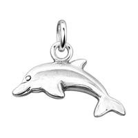 Dolphin
