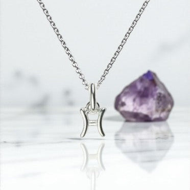 Pisces Zodiac Necklace in Sterling Silver 925 | February–March Star Sign Jewellery Gift