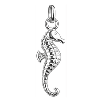 Seahorse