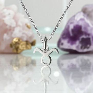 Taurus Zodiac Necklace in Sterling Silver 925 | April–May Star Sign Jewellery Gift