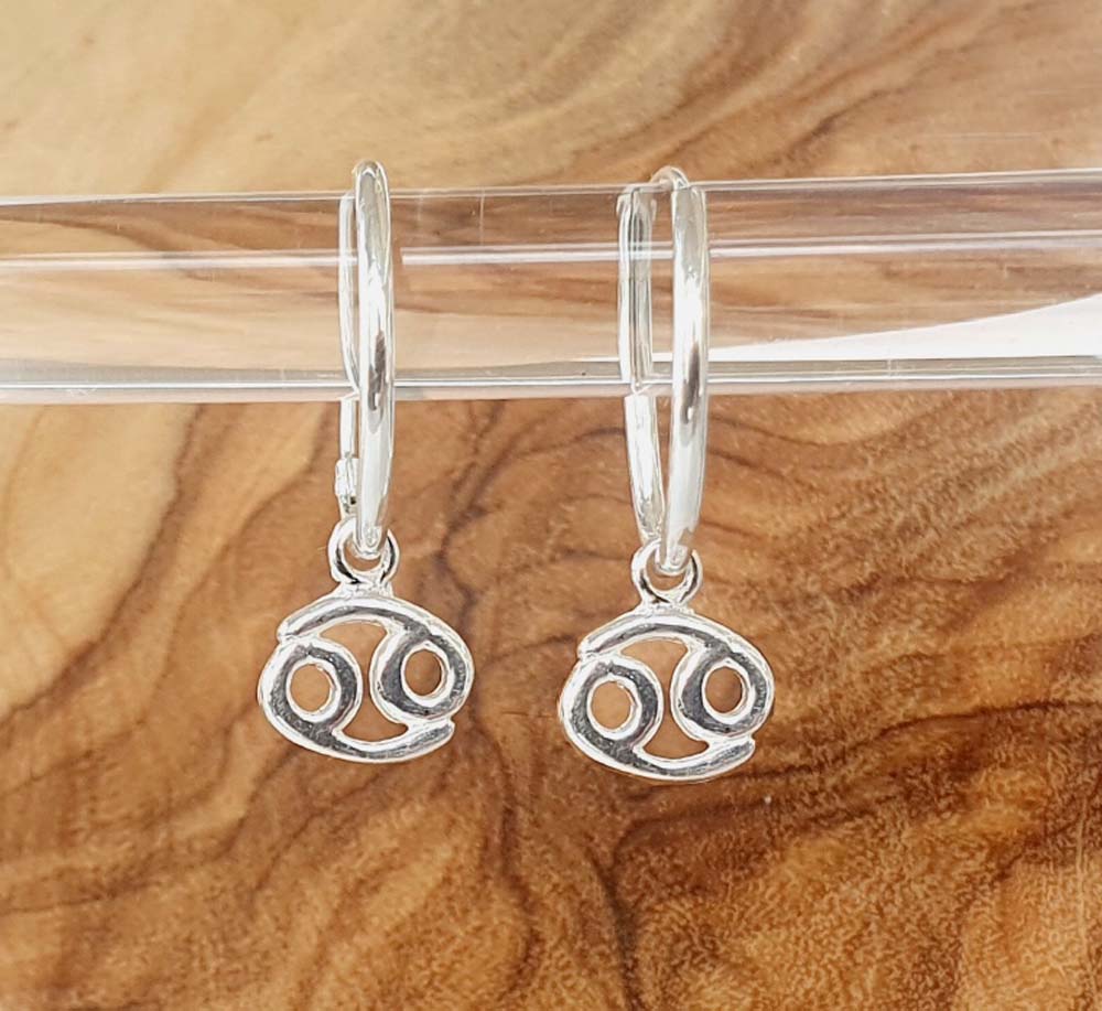 Charmed Silver Zodiac Hoop Earrings 15mm 925 Sterling Silver