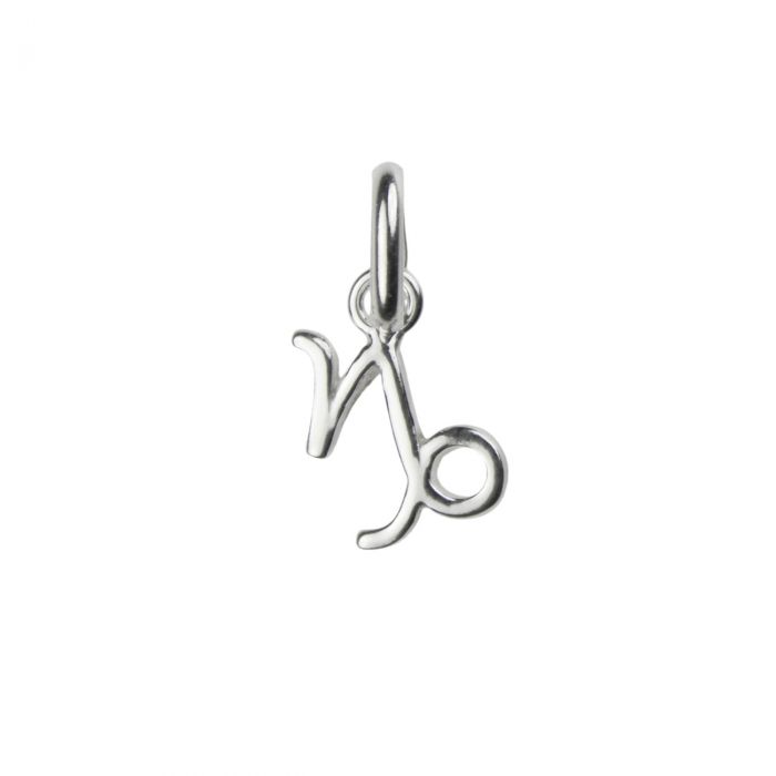 Capricorn Zodiac Necklace with Birthstone in Sterling Silver 925, Personalised Jewellery Gift
